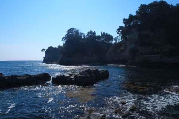 『五浦海岸』の画像